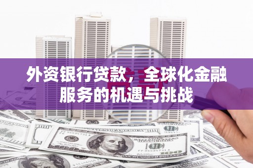 巴里坤外资银行贷款，全球化金融服务的机遇与挑战