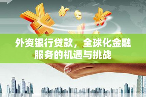 巴里坤外资银行贷款，全球化金融服务的机遇与挑战