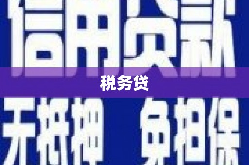 巴里坤税务贷