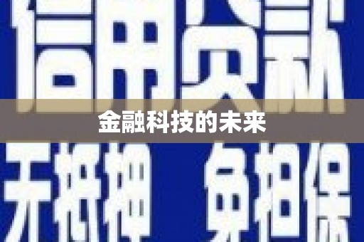 巴里坤金融科技的未来