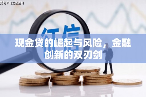 巴里坤现金贷的崛起与风险，金融创新的双刃剑