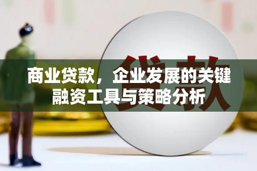 巴里坤商业贷款，企业发展的关键融资工具与策略分析