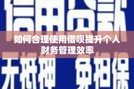 巴里坤如何合理使用借呗提升个人财务管理效率