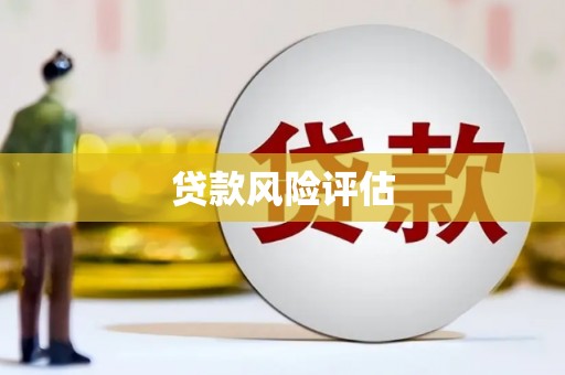 巴里坤贷款风险评估