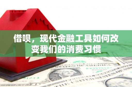 巴里坤借呗，现代金融工具如何改变我们的消费习惯