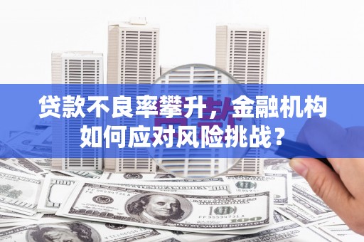 巴里坤贷款不良率攀升，金融机构如何应对风险挑战？