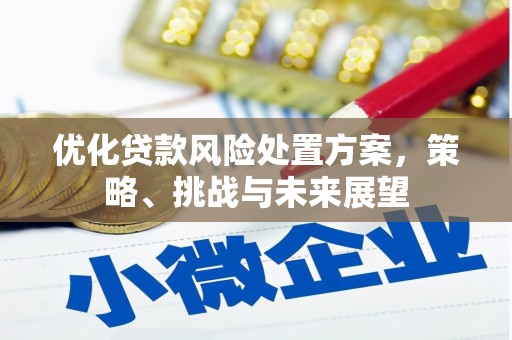 巴里坤优化贷款风险处置方案，策略、挑战与未来展望