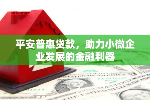 巴里坤平安普惠贷款，助力小微企业发展的金融利器