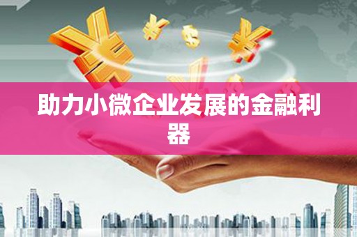 巴里坤助力小微企业发展的金融利器