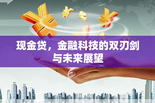 巴里坤现金贷，金融科技的双刃剑与未来展望