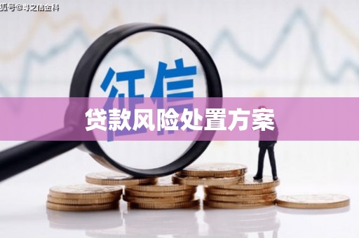 巴里坤贷款风险处置方案