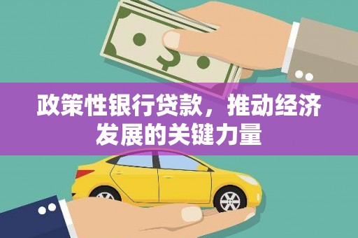 巴里坤政策性银行贷款，推动经济发展的关键力量