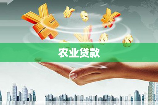 巴里坤农业贷款