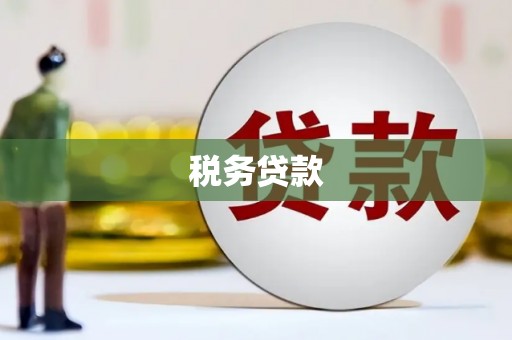 巴里坤税务贷款