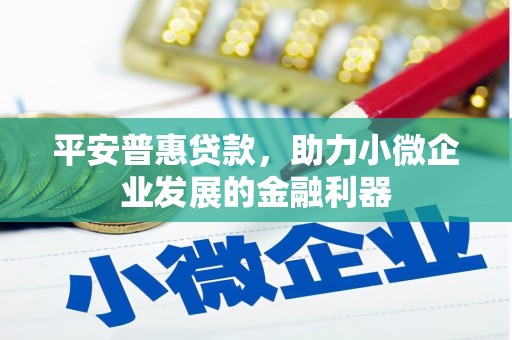 巴里坤平安普惠贷款，助力小微企业发展的金融利器