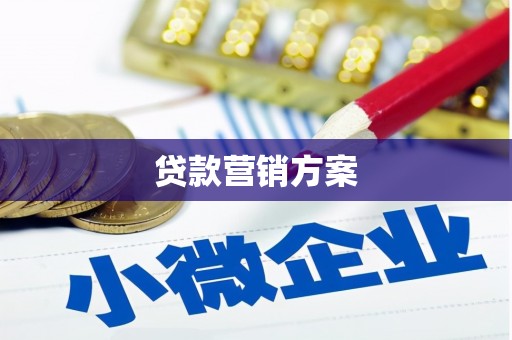 巴里坤贷款营销方案