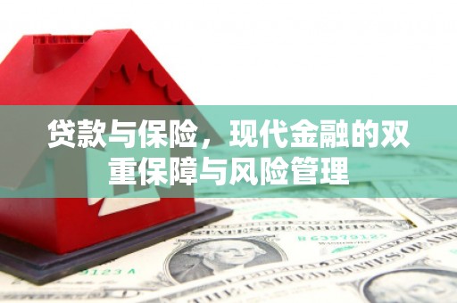 巴里坤贷款与保险，现代金融的双重保障与风险管理