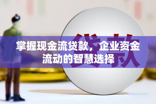 巴里坤掌握现金流贷款，企业资金流动的智慧选择