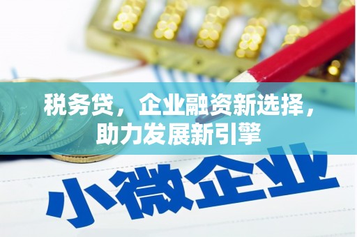 巴里坤税务贷，企业融资新选择，助力发展新引擎