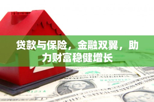 巴里坤贷款与保险，金融双翼，助力财富稳健增长