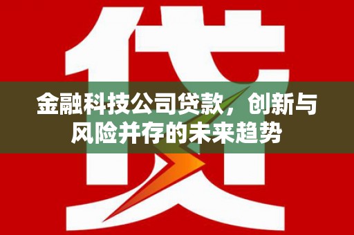 巴里坤金融科技公司贷款，创新与风险并存的未来趋势