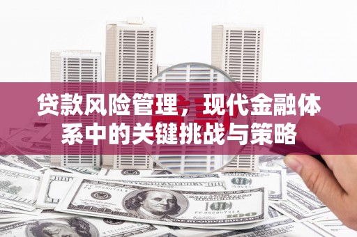 巴里坤贷款风险管理，现代金融体系中的关键挑战与策略