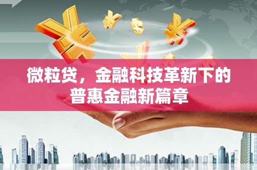 巴里坤微粒贷，金融科技革新下的普惠金融新篇章