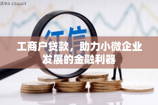 巴里坤工商户贷款，助力小微企业发展的金融利器