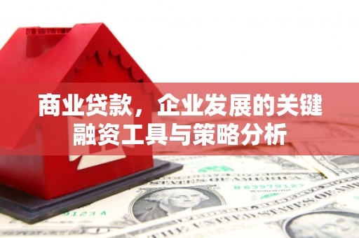 巴里坤商业贷款，企业发展的关键融资工具与策略分析