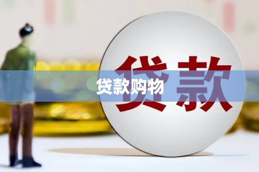 巴里坤贷款购物