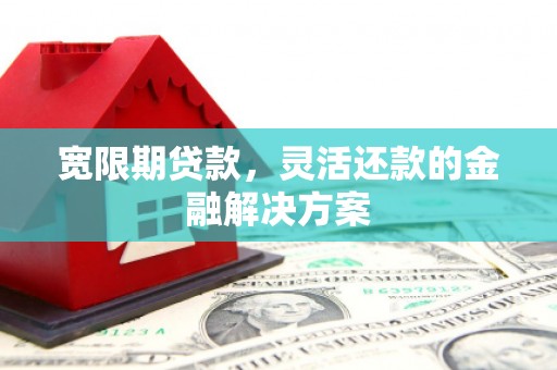 巴里坤宽限期贷款，灵活还款的金融解决方案