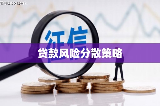 巴里坤贷款风险分散策略