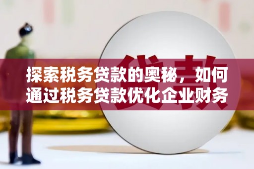 巴里坤探索税务贷款的奥秘，如何通过税务贷款优化企业财务
