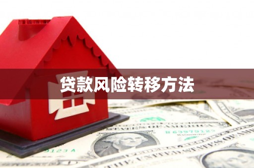 巴里坤贷款风险转移方法