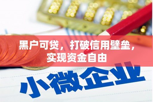 巴里坤黑户可贷，打破信用壁垒，实现资金自由