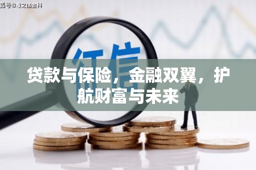 巴里坤贷款与保险，金融双翼，护航财富与未来