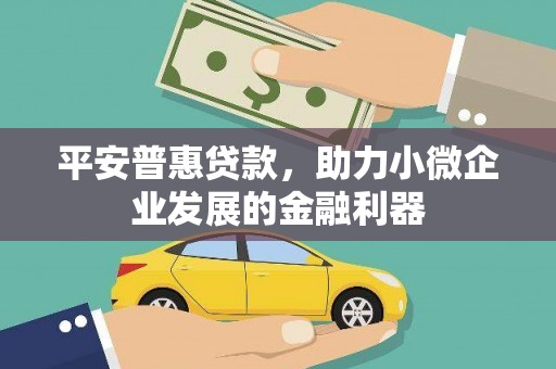 巴里坤平安普惠贷款，助力小微企业发展的金融利器