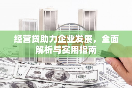 巴里坤经营贷助力企业发展，全面解析与实用指南