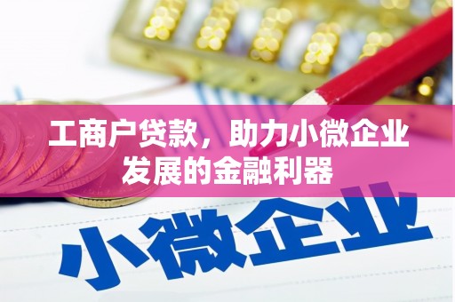 巴里坤工商户贷款，助力小微企业发展的金融利器