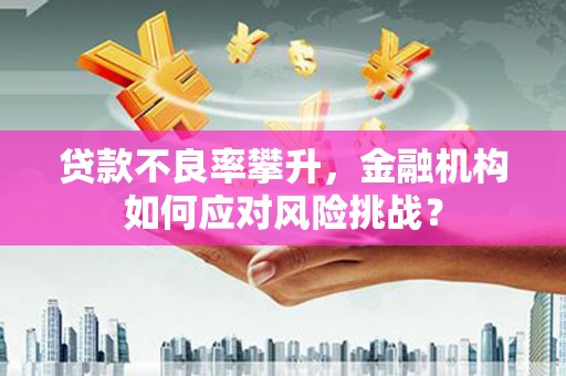 巴里坤贷款不良率攀升，金融机构如何应对风险挑战？