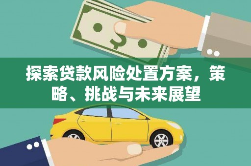 巴里坤探索贷款风险处置方案，策略、挑战与未来展望