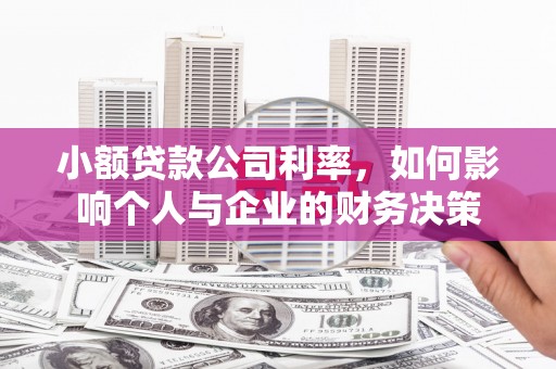 巴里坤小额贷款公司利率，如何影响个人与企业的财务决策
