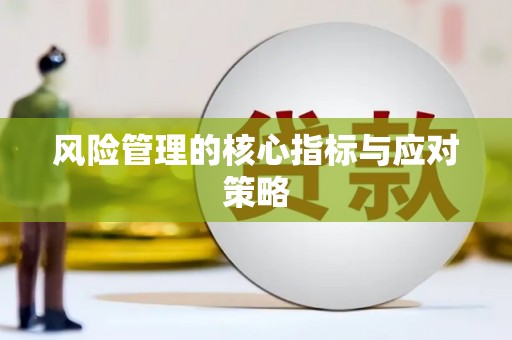 巴里坤风险管理的核心指标与应对策略