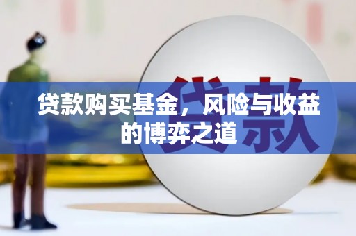 巴里坤贷款购买基金，风险与收益的博弈之道