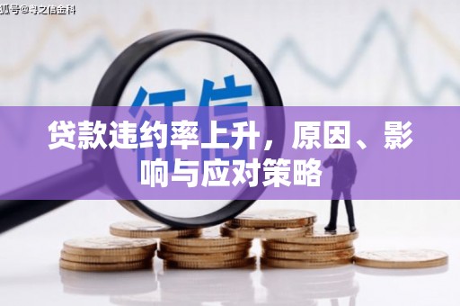 巴里坤贷款违约率上升，原因、影响与应对策略