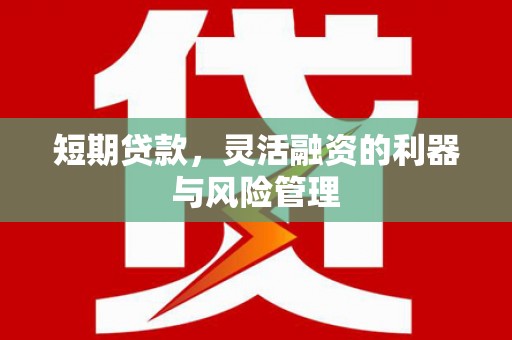 巴里坤短期贷款，灵活融资的利器与风险管理