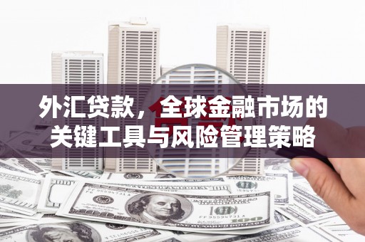 巴里坤外汇贷款，全球金融市场的关键工具与风险管理策略