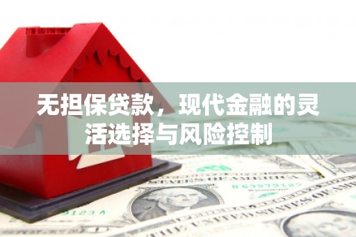 巴里坤无担保贷款，现代金融的灵活选择与风险控制