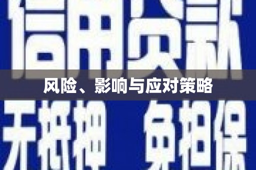 巴里坤风险、影响与应对策略