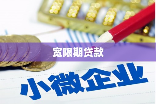 巴里坤宽限期贷款